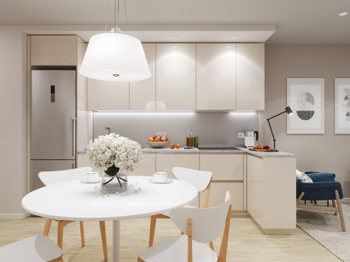 Kitchen 01 View01
